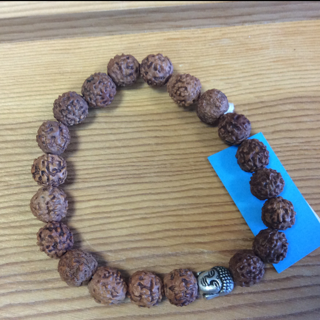 PULSEIRA RUDRAKSHA 