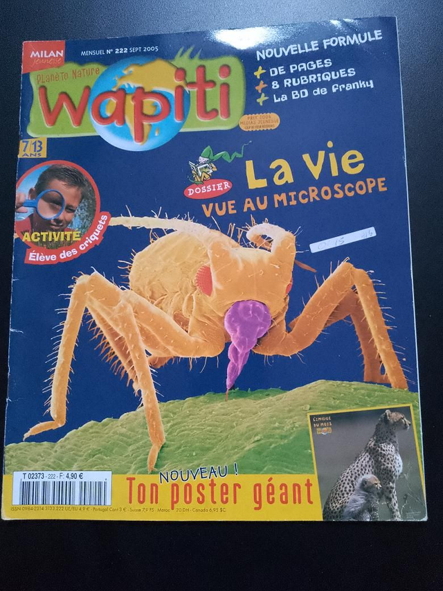 La vie vue au mucroscope - Wapiti