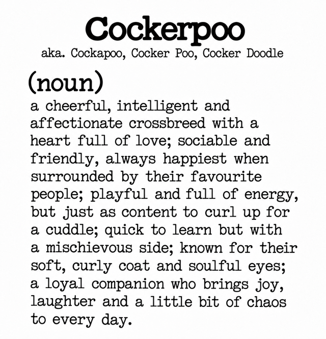 Dog Breed Definition Mug – Cockerpoo | Funny Dog Lover Gift
