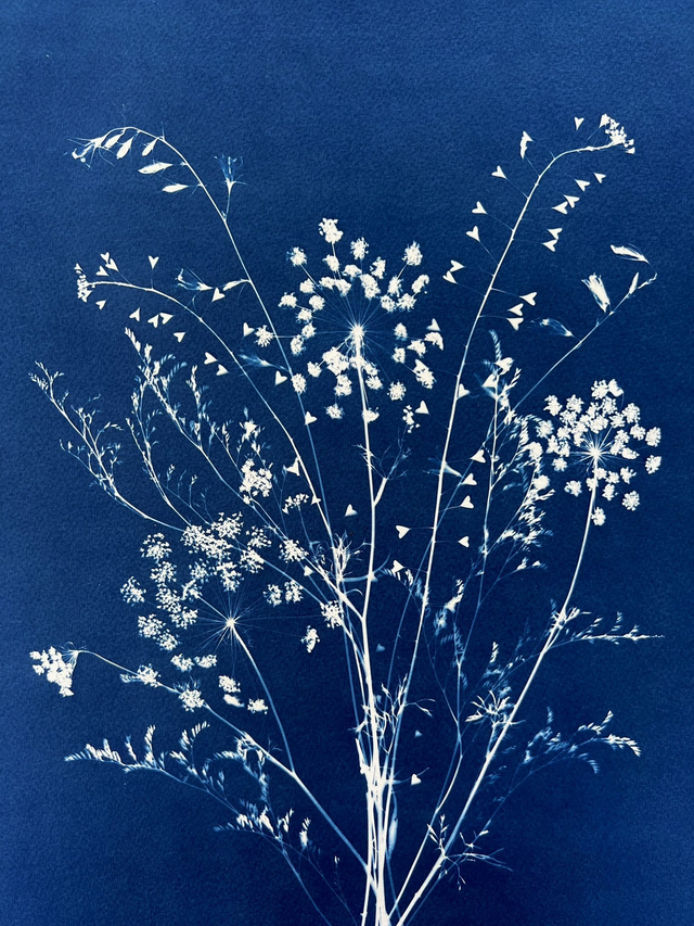 &quot;Balade lumineuse&quot; Cyanotype original