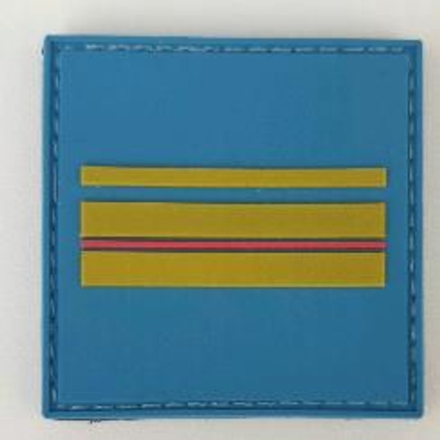 Brigadier chef principal police Municipale