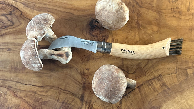 opinel N°8 CHAMPIGNON