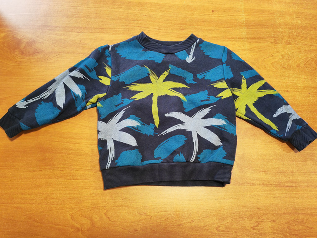 Sweat palmiers 3 ans