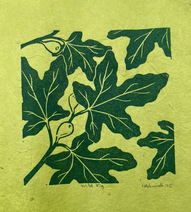 Wild Fig Mini Print