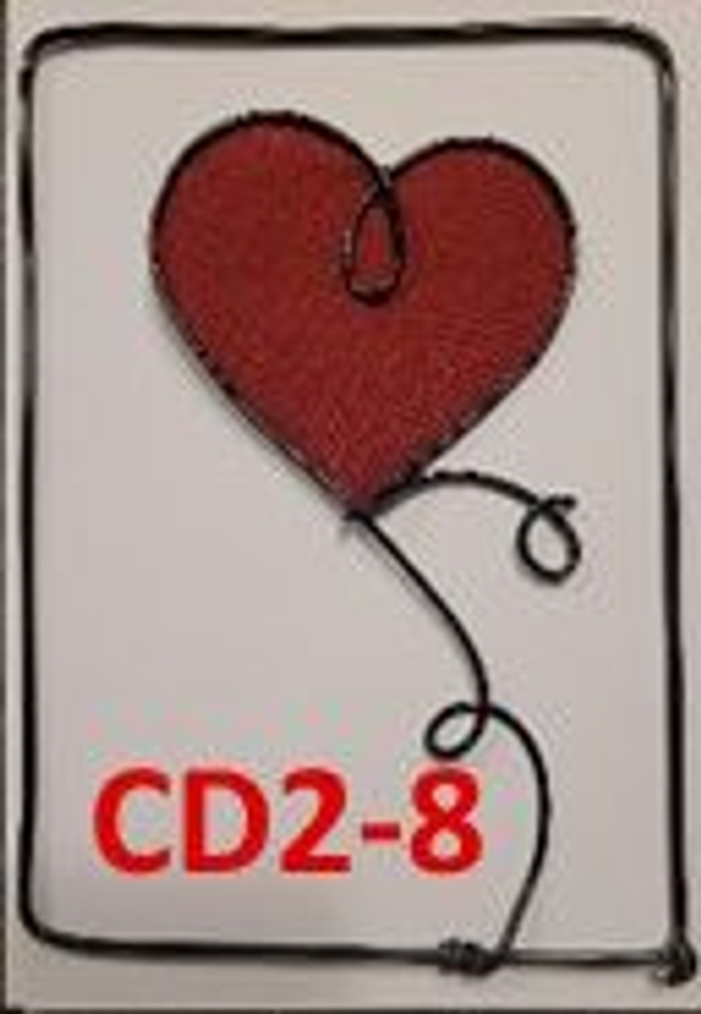 CD2 - Carte décorative 