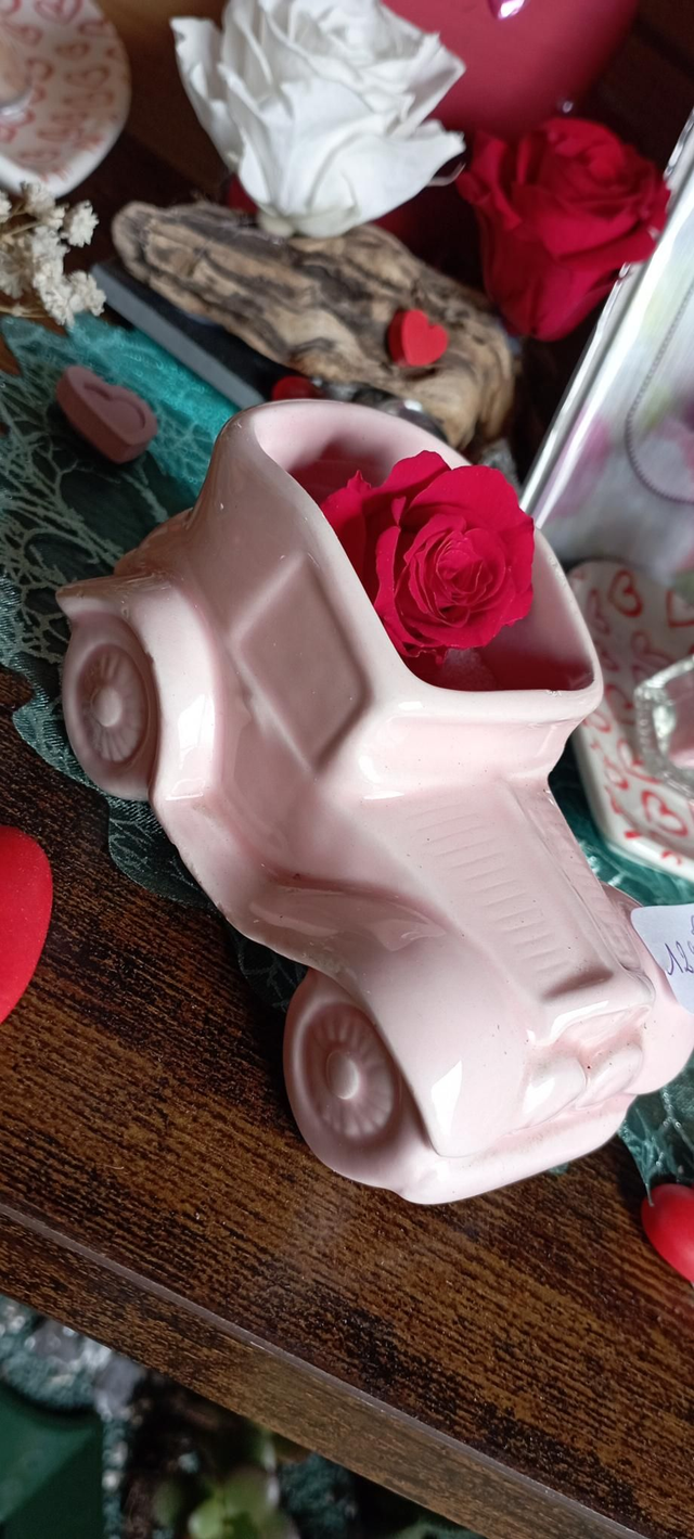 Rose éternelle voiture 