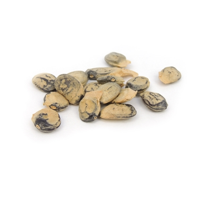 Umburana semente (C0061)