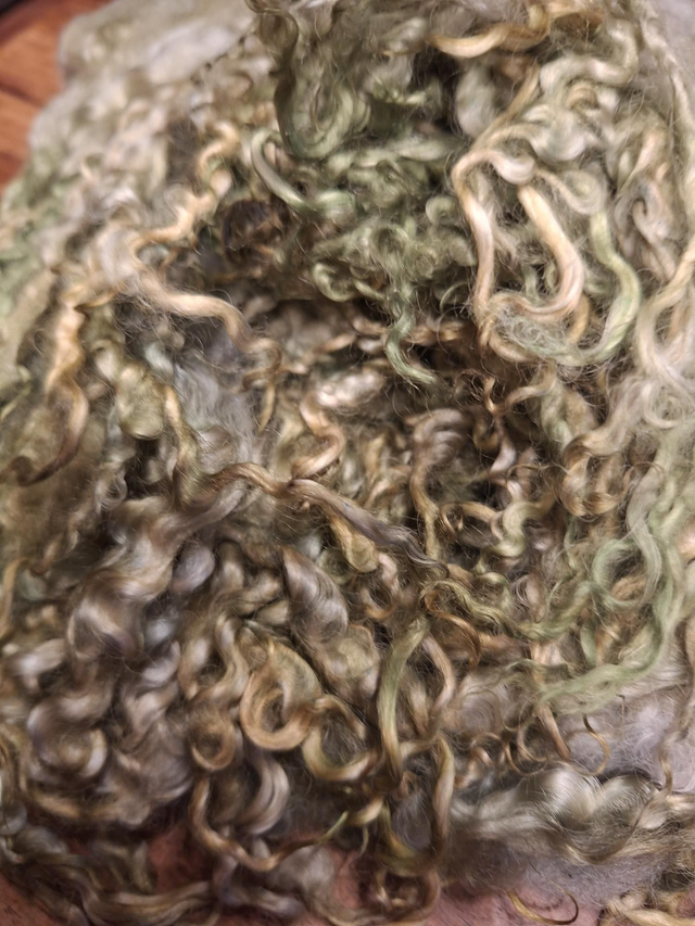 Boucles teeswater 85g Boucles01105