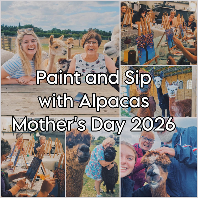 Paint and Sip - Mother's Day