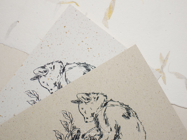 Print kot z kwiatami | ZWIERZĘTA 