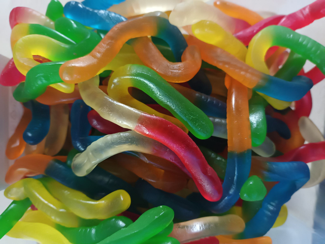 VERS LISSES  (VENDU PAR 100G)