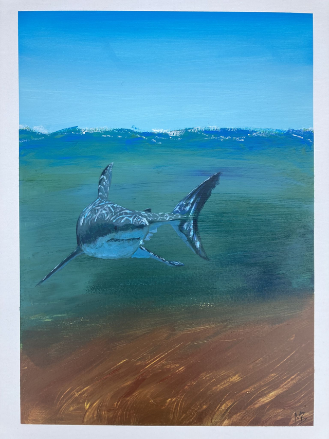 Lurking in the Gloom (Great White Shark)