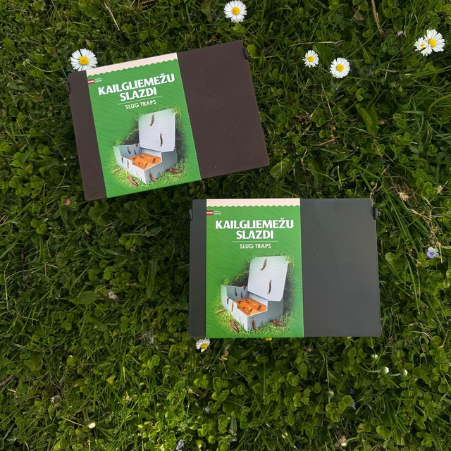 Spānijas kailgliemežu slazds