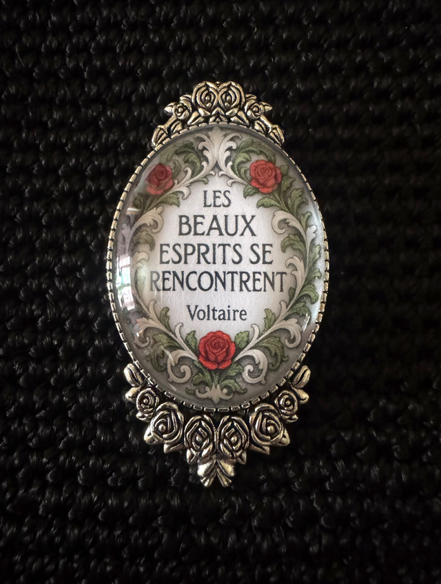 Citation de Voltaire - Beaux esprits