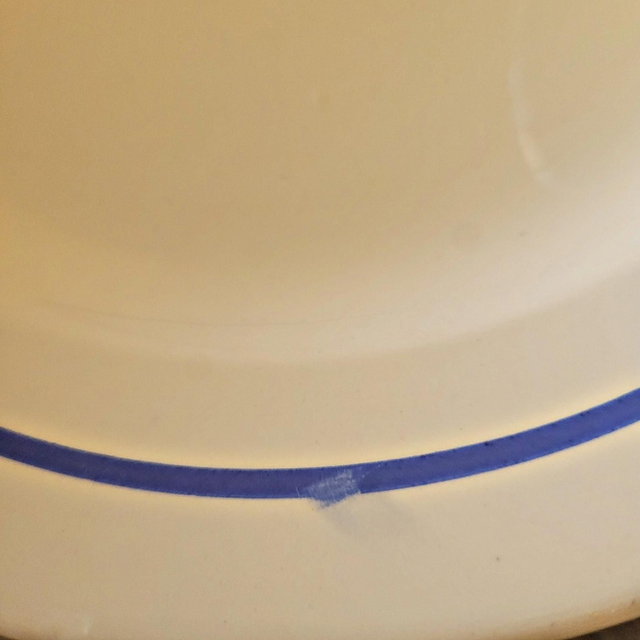 X Assiettes plates vintage faïence ADP, motifs de roses couleur bleu