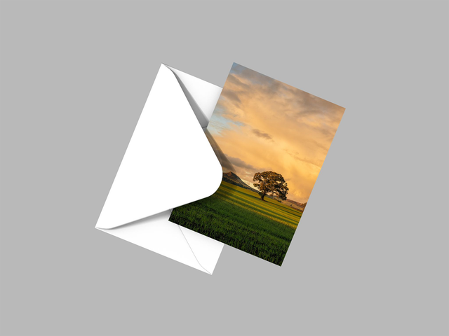 Golden Evening Light, Roseberry Topping