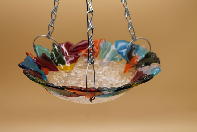 9" Small Bird Feeder with a vibrant surround