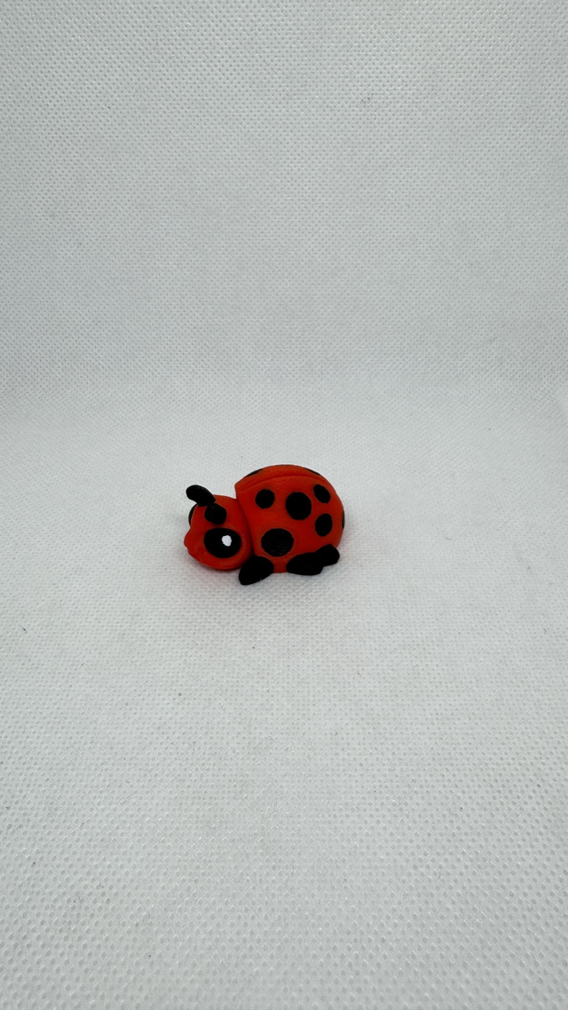 Coccinelle