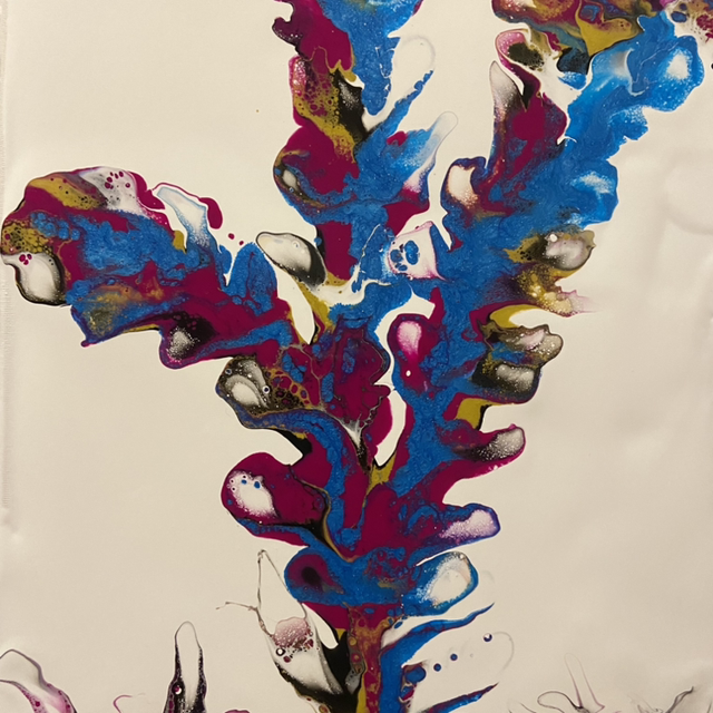 Cactus méditerranéen 