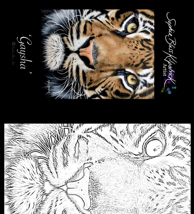 Adult Colouring Book - Close Up Designs