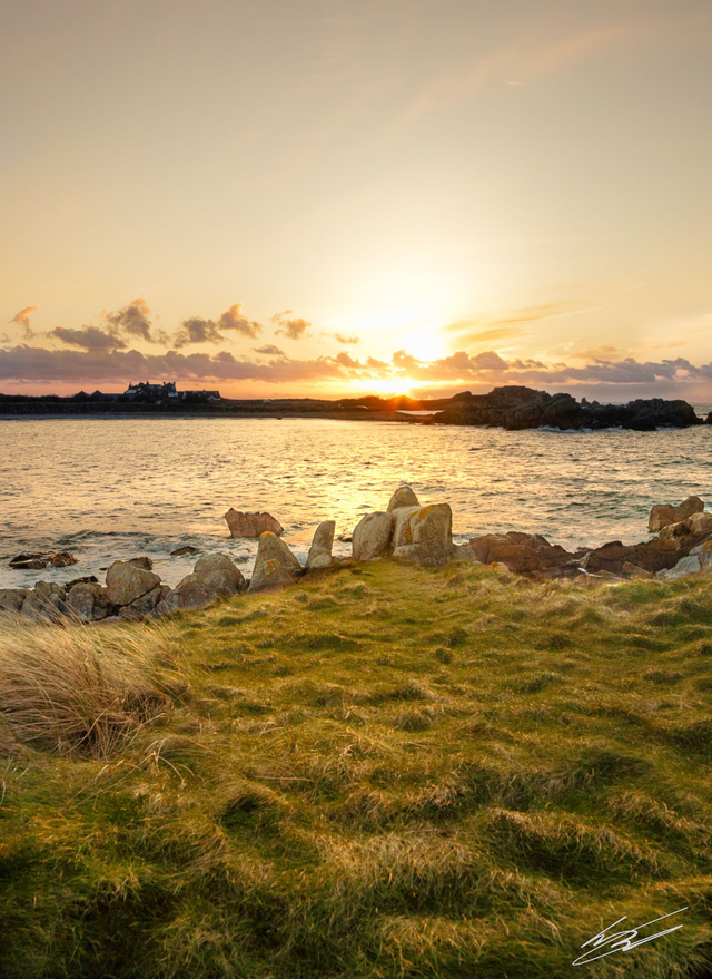 Port Soif Grassland Portrait