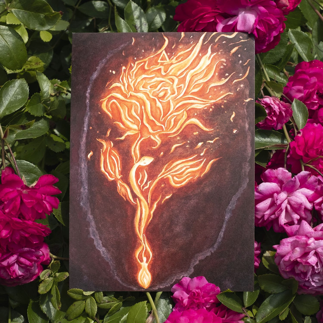 Rose Feu A5