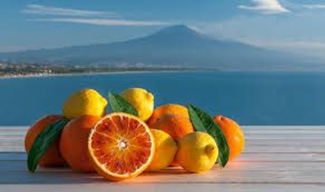 Importation paysane orange tarasco a feuille bio 