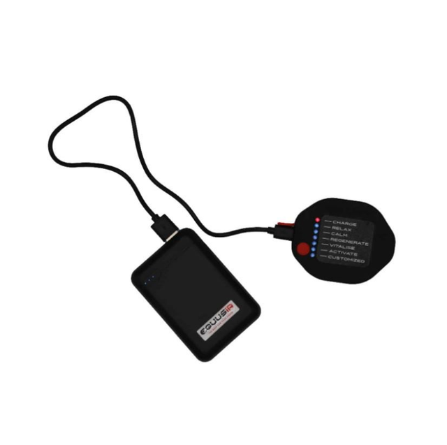 BIOS Steuergerät (Controller)