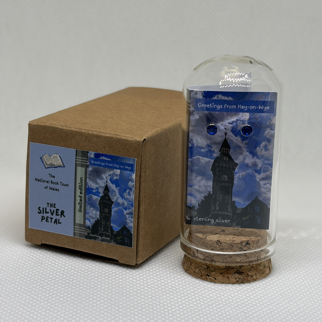 'Hay on wye' Blue crystal Earrings 