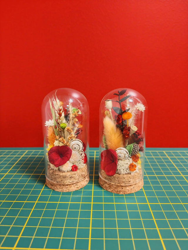 Duo de minis dômes - Trésors des bois 🍂