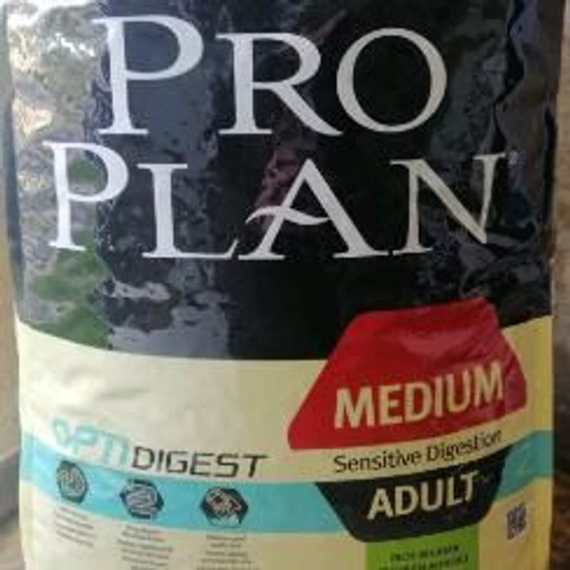 adult medium 18 kg agneau