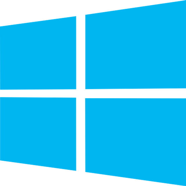 Windows 11 Upgrade Check (Non-EU)