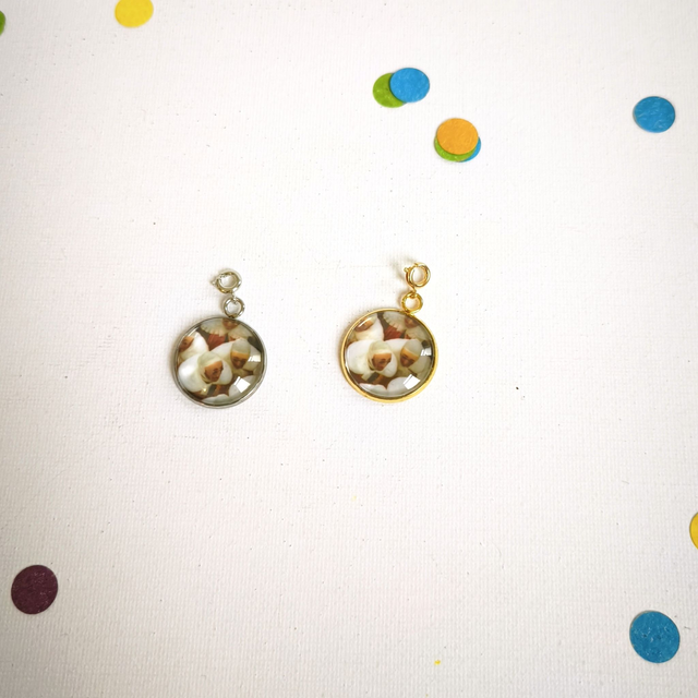 Charm’s Carnaval – Acier inox et verre –  interchangeable – Bijou personnalisable  