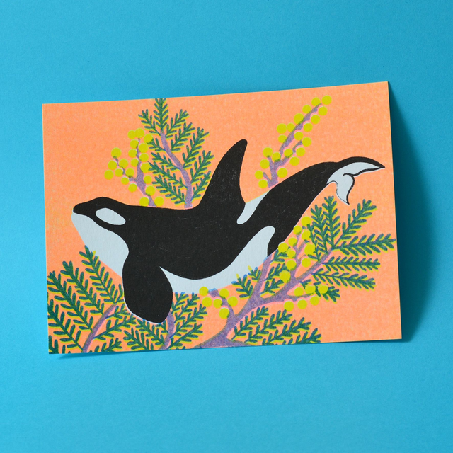 Carte postale RISO cétacés &amp; fleurs : l'orque aux mimosas