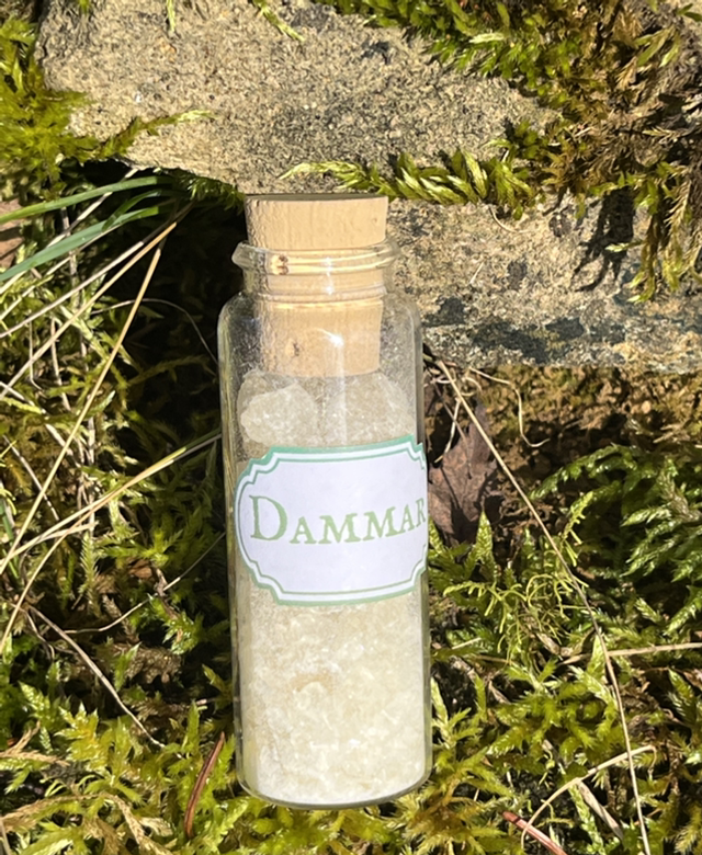 Dammar - résine pure