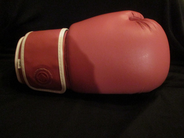 Pink Boxing Gloves PRE-ORDER Signed By 1 Boxer