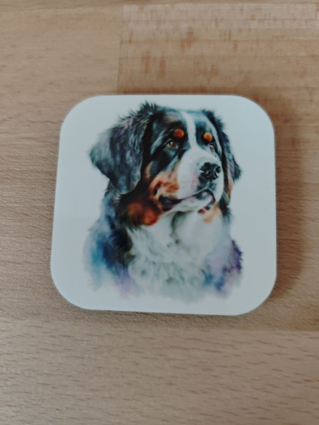 Magnet Bouvier Bernois