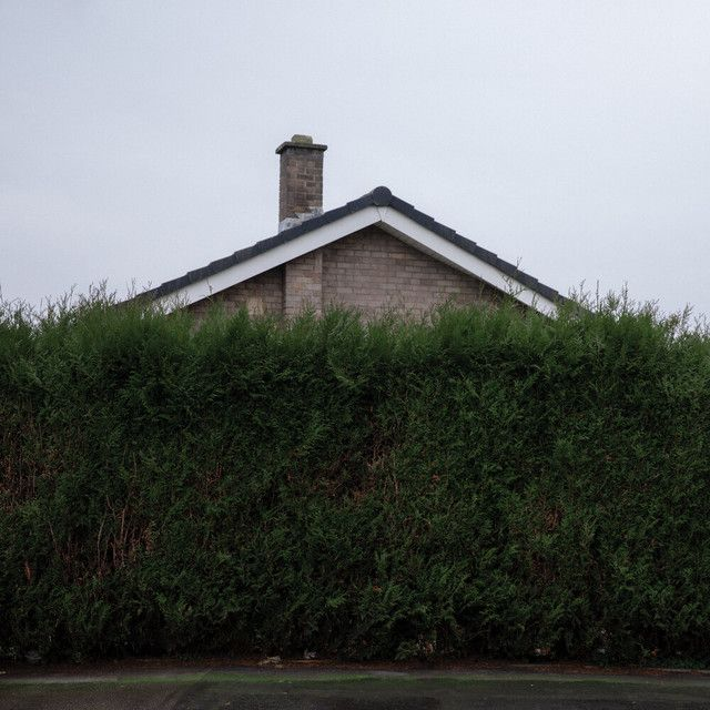 1975, The - Still... At Their Very Best (Live from the AO Arena, Manchester, 17.02.24) 3xLP (Limited Edition White Vinyl)