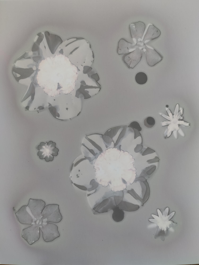 Bouquet de printemps – Narcisses Barrett Browning, pervenches et fleurs sauvages