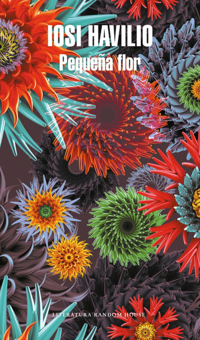 Pequeña flor - Iosi Havilio