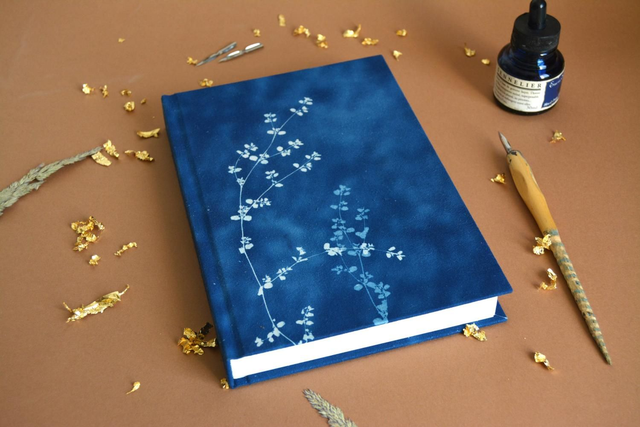 Carnet cyanotypes plantes