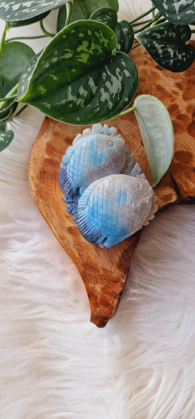 Trolleite Fish Carving 