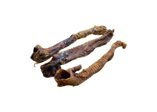 Lamb Trachea 