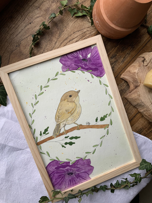 « Pouillot et ses anémones »