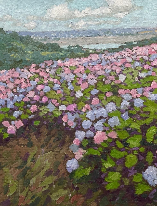 Les hortensias, le matin. 35x27cm. Huile sur toile