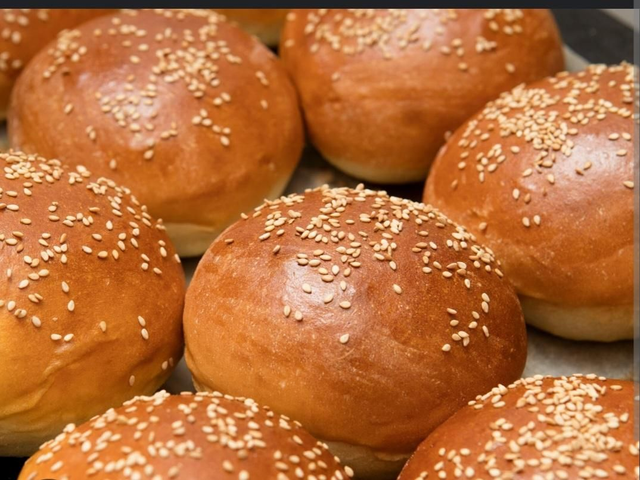 Hamburger tutti i formati 30 80 100 120 150 gr.