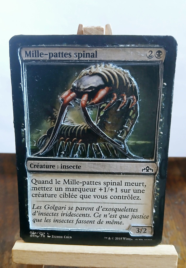 Mille-pattes spinal