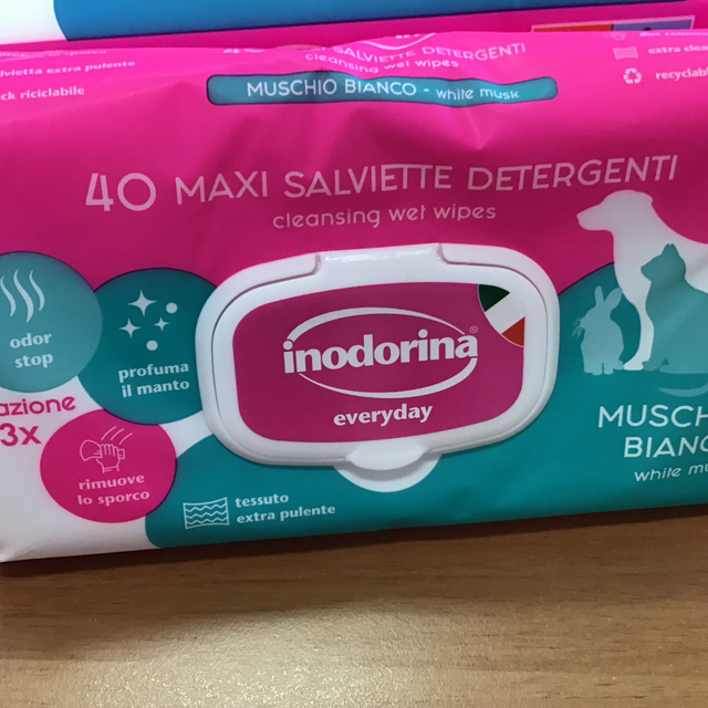 Inodorina 40 maxi salviette detergenti muschio bianco