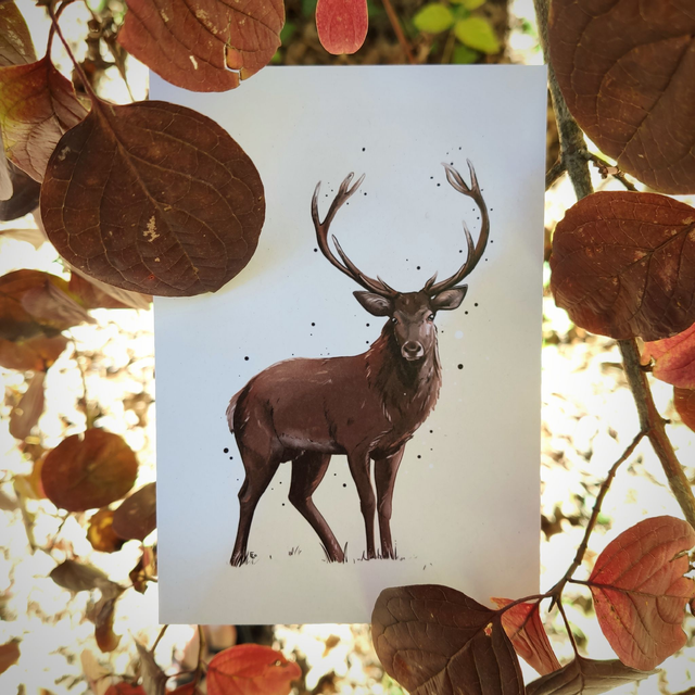  Illustration CERF - Formats A6 ou A5