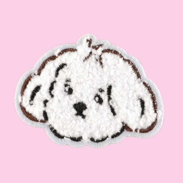 Fluffy White Dog